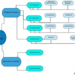 Descubre los diferentes tipos de emprendedores y encuentra cuál eres tú